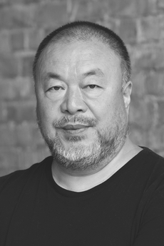 Ai Wei Wei