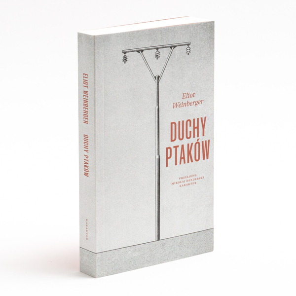 Duchy ptaków